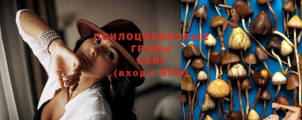 твердый Арсеньев