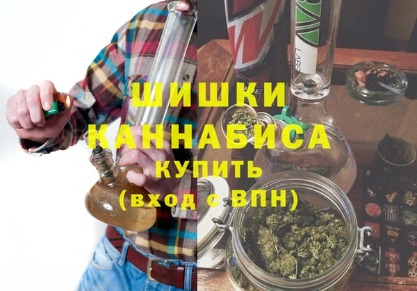 твердый Арсеньев