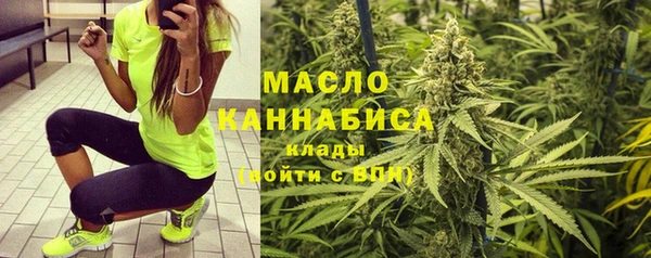 твердый Арсеньев