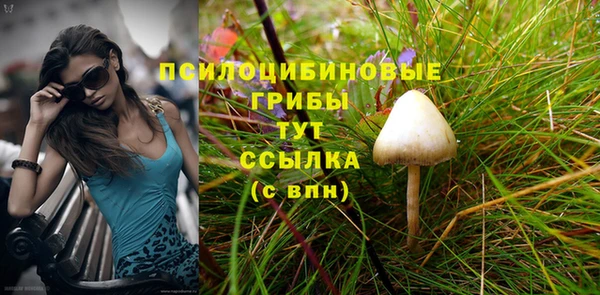твердый Арсеньев