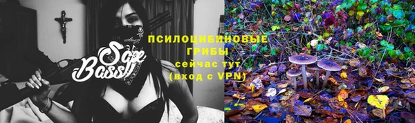 прущая мука Армянск